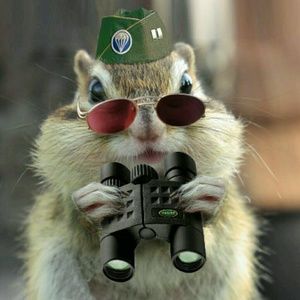 Meet your Posher, Trevor